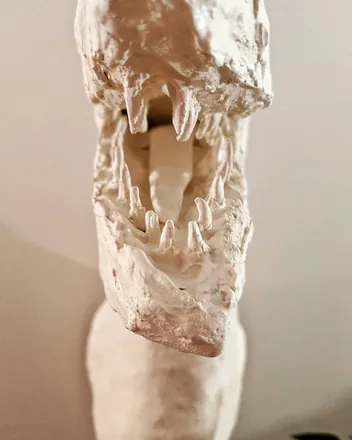 Looking up into the raptor's open mouth