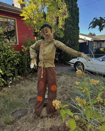 A scarecrow in a front garden with pumpkins at its feet
