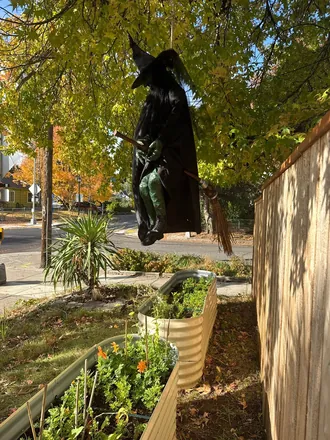 The witch on her broom, flying over a garden